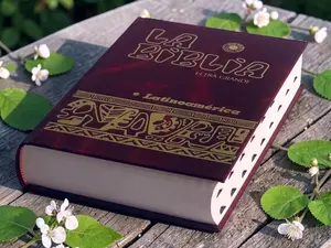 La biblia católica. Latinoamérica (tapa dura) (Spanish Edition) (Color May Vary) Hardcover