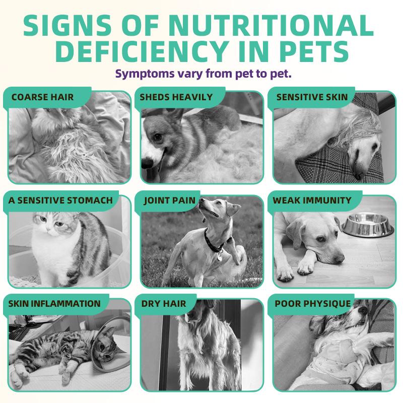 Hegenpet 16-in-1 Multivitamin Heart-Shaped Chews forDogs & Cats - Visible Hair Growth, Shiny Coat & Joint Care -Immunity Boost (120g)