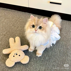 household new products