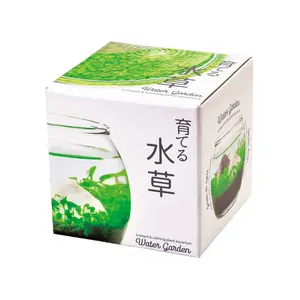 Water Garden Kit Water Garden Kit