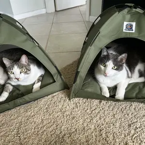 GlobHarb Portable Cat Tent House, Tent for Small Puppies and Kittens, Foldable Pet Tent, Cat Camping Tent, Pet Supplies for Small Dogs & Cats, Home Pet Supplies for Cats, Pet Products
