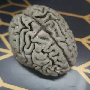 Brain unscented wax brain for decorating purposes