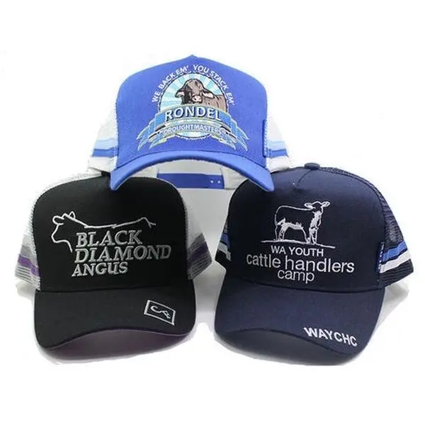 Custom fashion quality 100% acrylic 3D embroidery snapback caps, wholesale free snapback caps