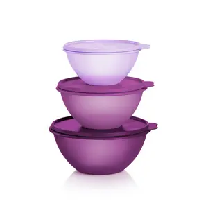 Classic Wonderlier Bowl | Set of 3 by Tupperware