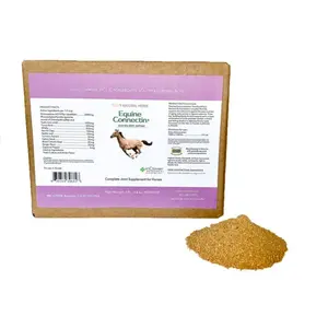 Equine Connectin | All-in-One Joint Support for Horses