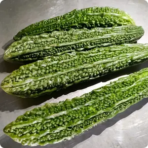 Bitter melon Seeds - Futo Spindle ,karalla