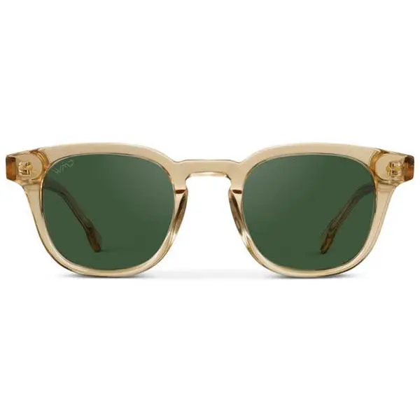 Clark Sunglasses - WMP Eyewear