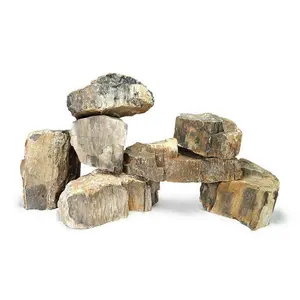 Tideline Naturescapes Wooden Fossil Stone (Petrified Wood Stone)