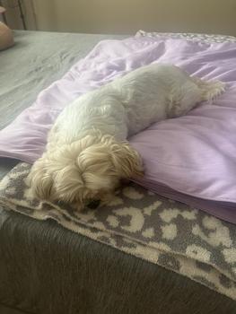 product review image from Christalynn123 3