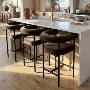 New York 24" Velvet Counter Stool with Arms (Set of 2)