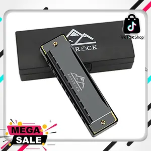 EastRock Blues Harmonica Mouth Organ 10 Hole C Key with Case, Diatonic Harmonica for Professional Player, Beginner, Students gifts, Adult, Friends, Gift Black