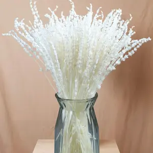 Mother’s Day Lavender Gift – White Dried Lavender Flowers Bundle 180+ Stems, 15–17" Real Bleached Lavender Bouquet for Home, Wedding, Boho Party Decor, Crafts & Vase (2 Packs)
