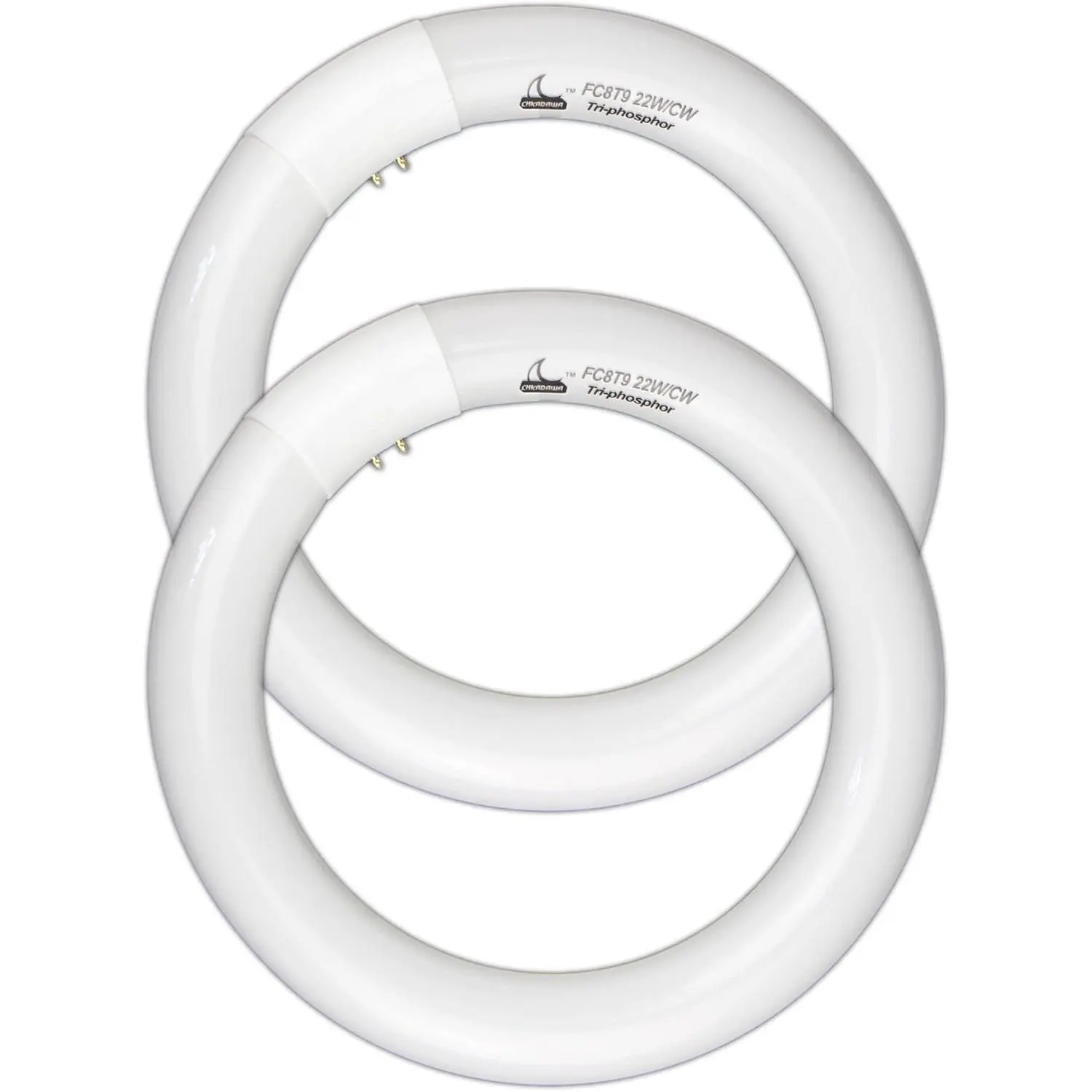 FC8T9/CW Circular Fluorescent Light Bulb, 8 Inch Round T9 22W Circline Bulbs Replacement for  Ceiling Fixture, Cool White 4100K 1350 Lumens, G10q 4 Pin Base, 2 Pack