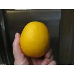 VINE Melons Seeds - Yellow Peach Seeds, Ideal for Growing Melons