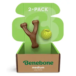 Chew & Fetch Duo | 2-Pack of Durable Dog Toys | Tough Nylon & Natural Rubber