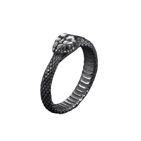 GTHIC Stainless Steel Ouroboros Snake Ring Retro Animal Punk Ring for Men Women Mother's Day Gift