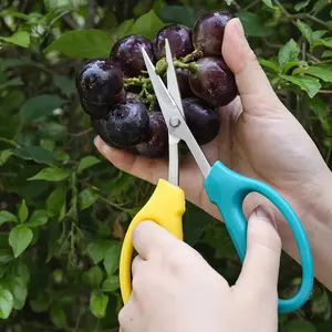 Sturdy Garden Fruit And Grape Pruning Shears With Soft Handles And Curved Blades Multifunctional Alice Garden Scissors
