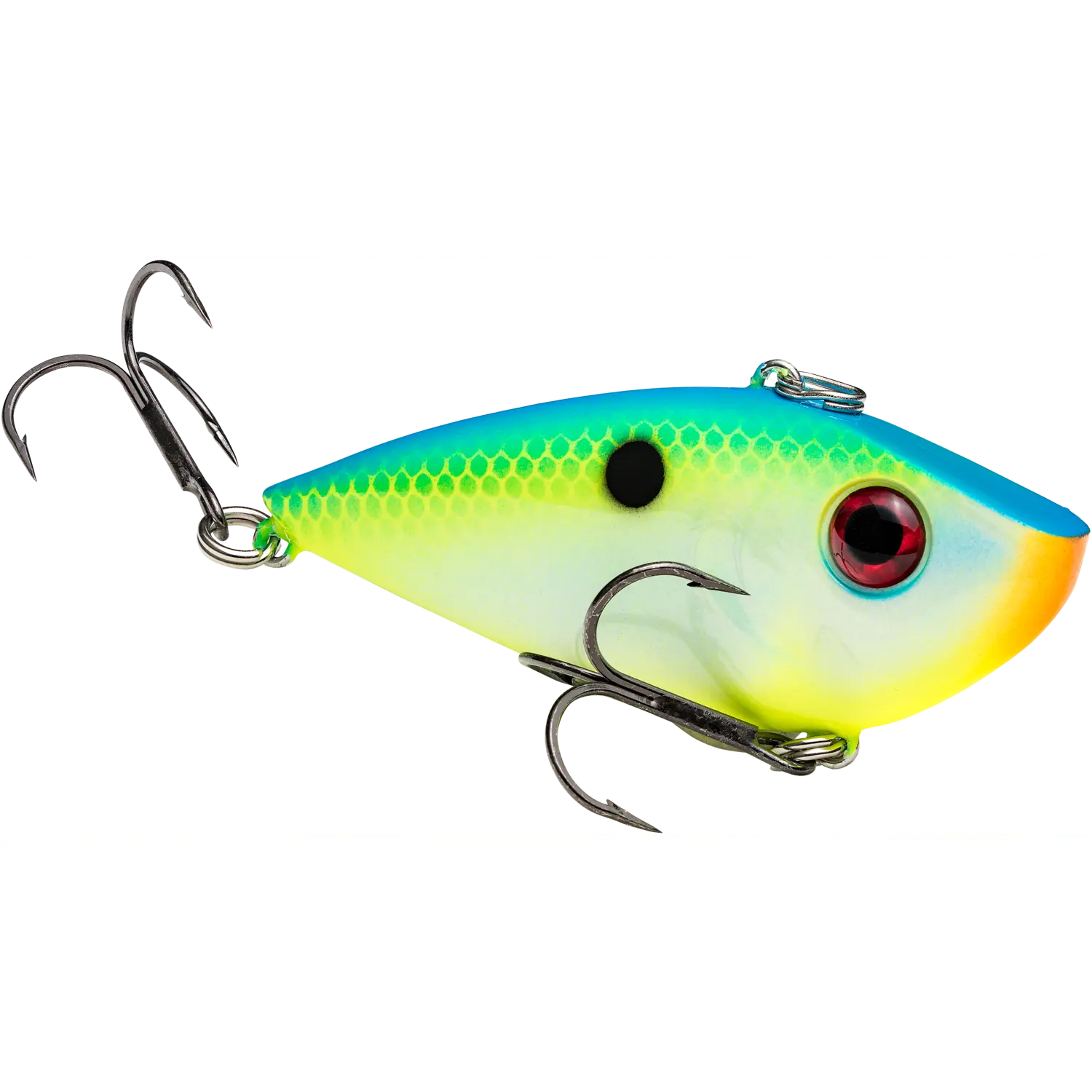 Citrus Shad