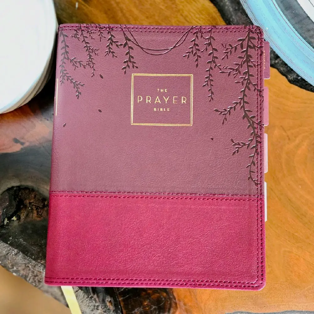 REDUCED The Prayer Bible NKJV - "Gesthemane"