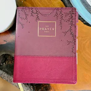 DISCOUNTED The Prayer Bible NKJV - "Gesthemane"