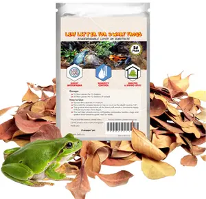SunGrow Dwarf Frog Mini Catappa Leaves (50 Pc) - Tannin Helps Remove Ammonia, Lower pH - Leaf Litter Indian Almond Leaves, Aquarium Water Treatment, Decor Accessories
