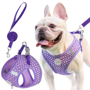 Reflective Anti-Pull Dog Leash For Walking,Dog Leash,Pet Reflective Leash,Multiple Colors, Easy To Wear, Suitable For Outdoor Activities Of Dogs freedom harness