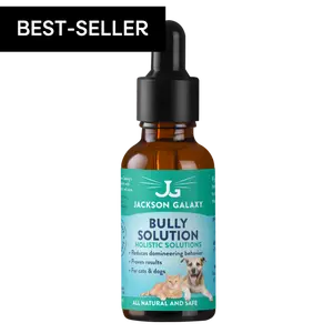 Bully Solution Bully Solution
