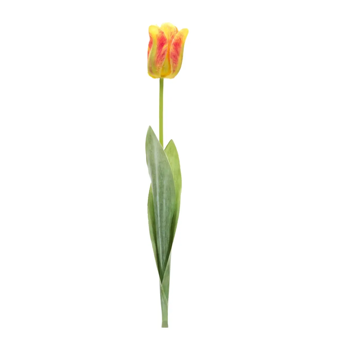 Melrose 85230DS 27 in. Polyester & Plastic Tulip Stem, Green & Yellow - Set of 6