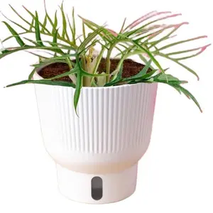 10in Self Watering Pot for Plants - Automatic Watering Solution for Small to Medium-sized Plants