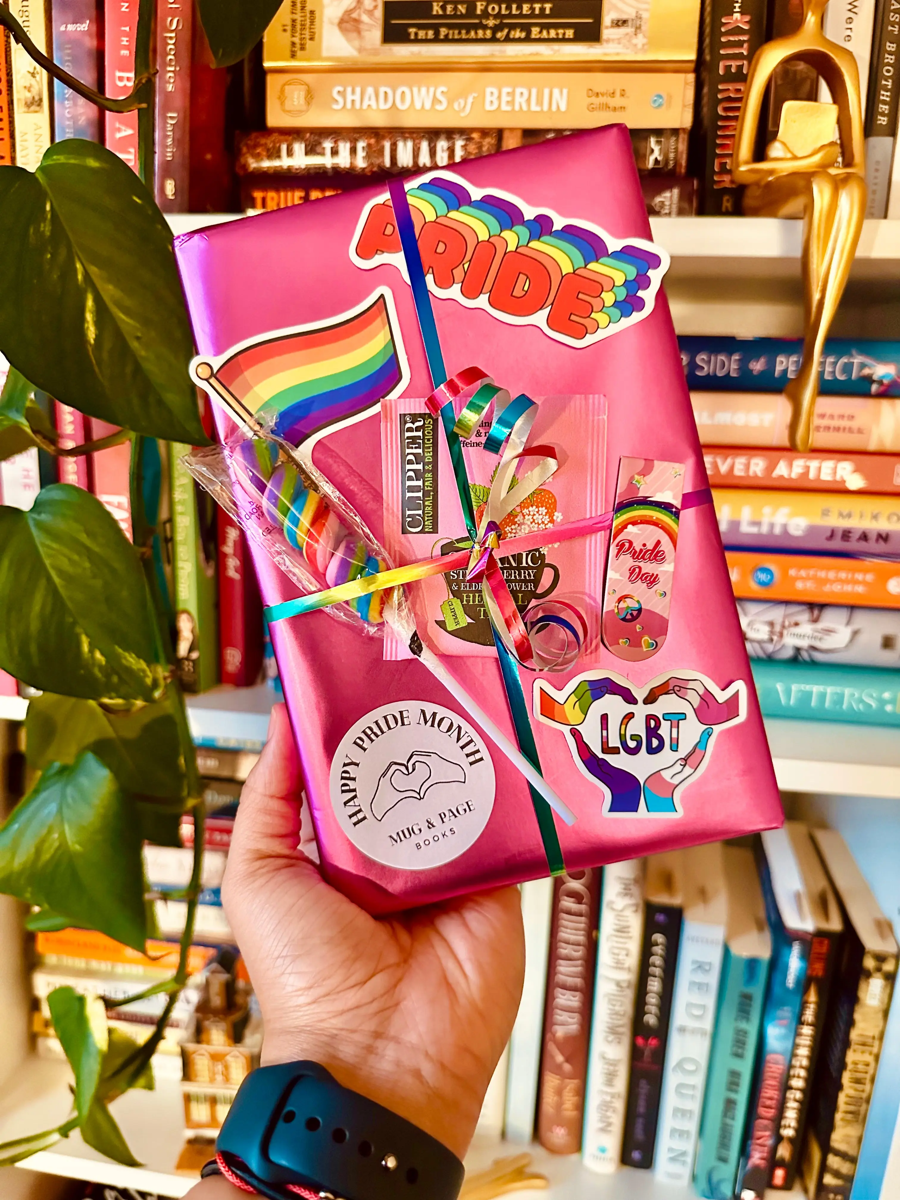 Pride Edition - Blind Date With a Book