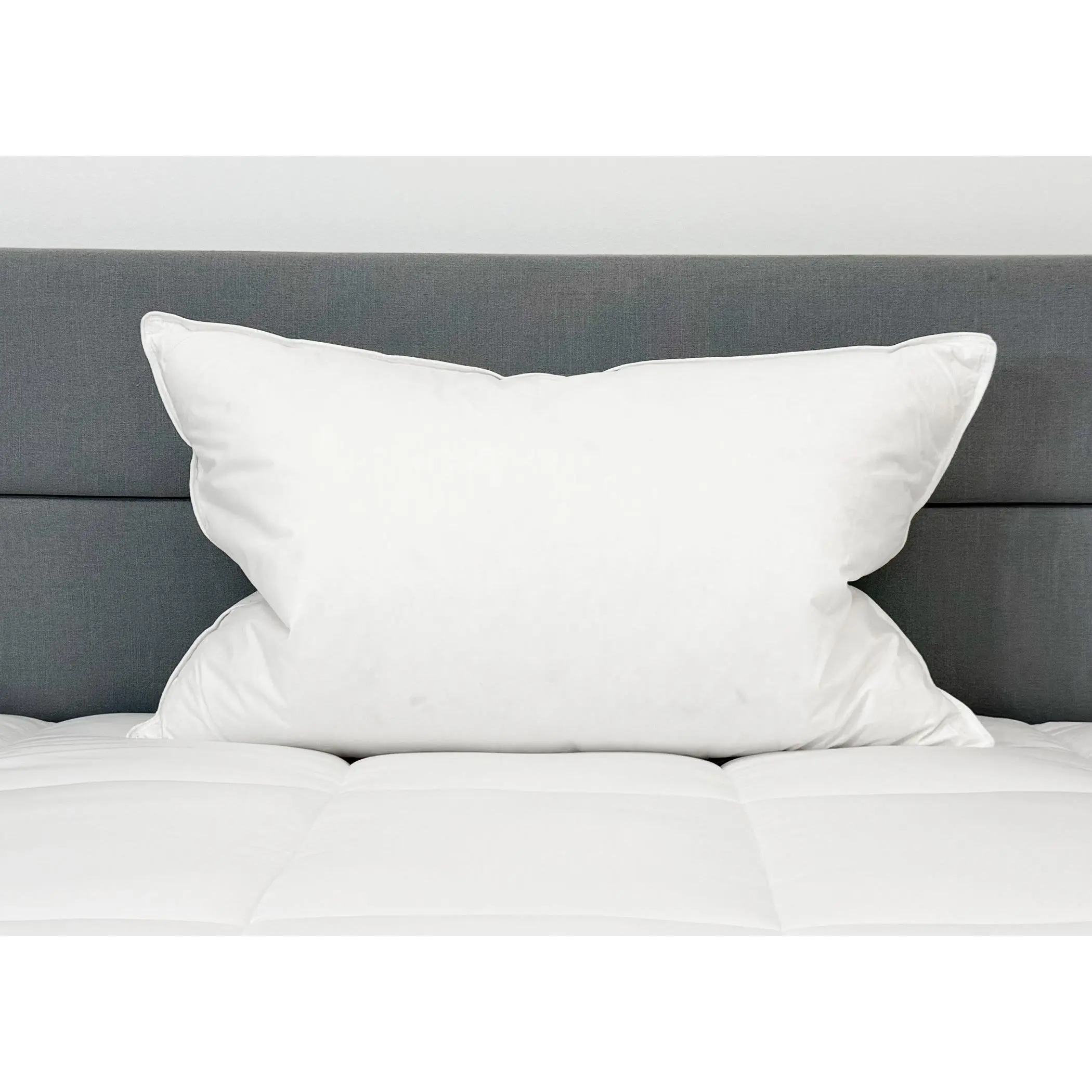 Down Etc. 50% White Goose Down / 50% White Goose Feather Pillow