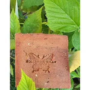 Raspberry Face & Body Soap