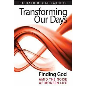 USED-Transforming Our Days: Finding God Amid the Noise of Modern Life by Richard Gaillardetz PhD (Paperback)