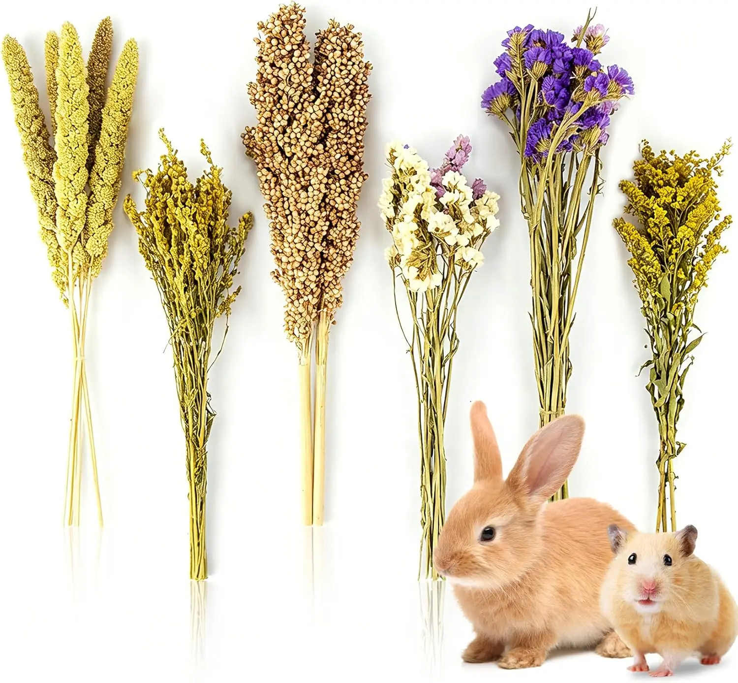 Sukh Natural Hamster Bedding Sprays - Foraging Cage Accessories | Habitat Decor & Enrichment for Dwarf and Syrian Hamsters, Gerbils, Mice and Small Animals Cage Hideout Accessories