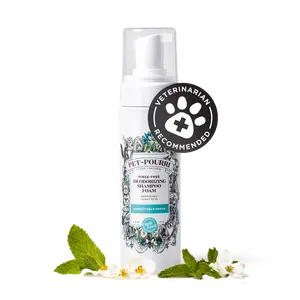 Rinse-Free Deodorizing Shampoo