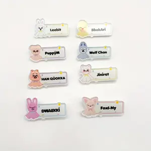 1 Piece Skz Cartoon Animal Brooch Pin, Creative Design Name Badge, Bag Clothes Accessory, Fashion Jewelry for Women & Men, BangChan Han IN LeeHnow KPOP Korean