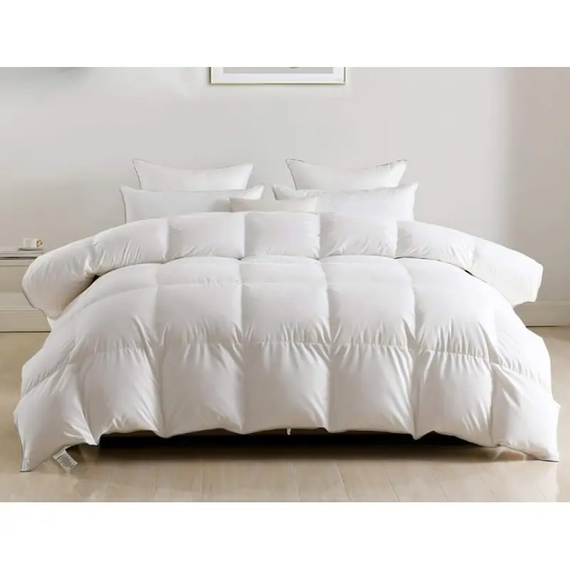 Queen Duvet Insert Ultra Soft Lightweight, All Season Down Blend Comforter, Fluffy Breathable Bed Duvet with