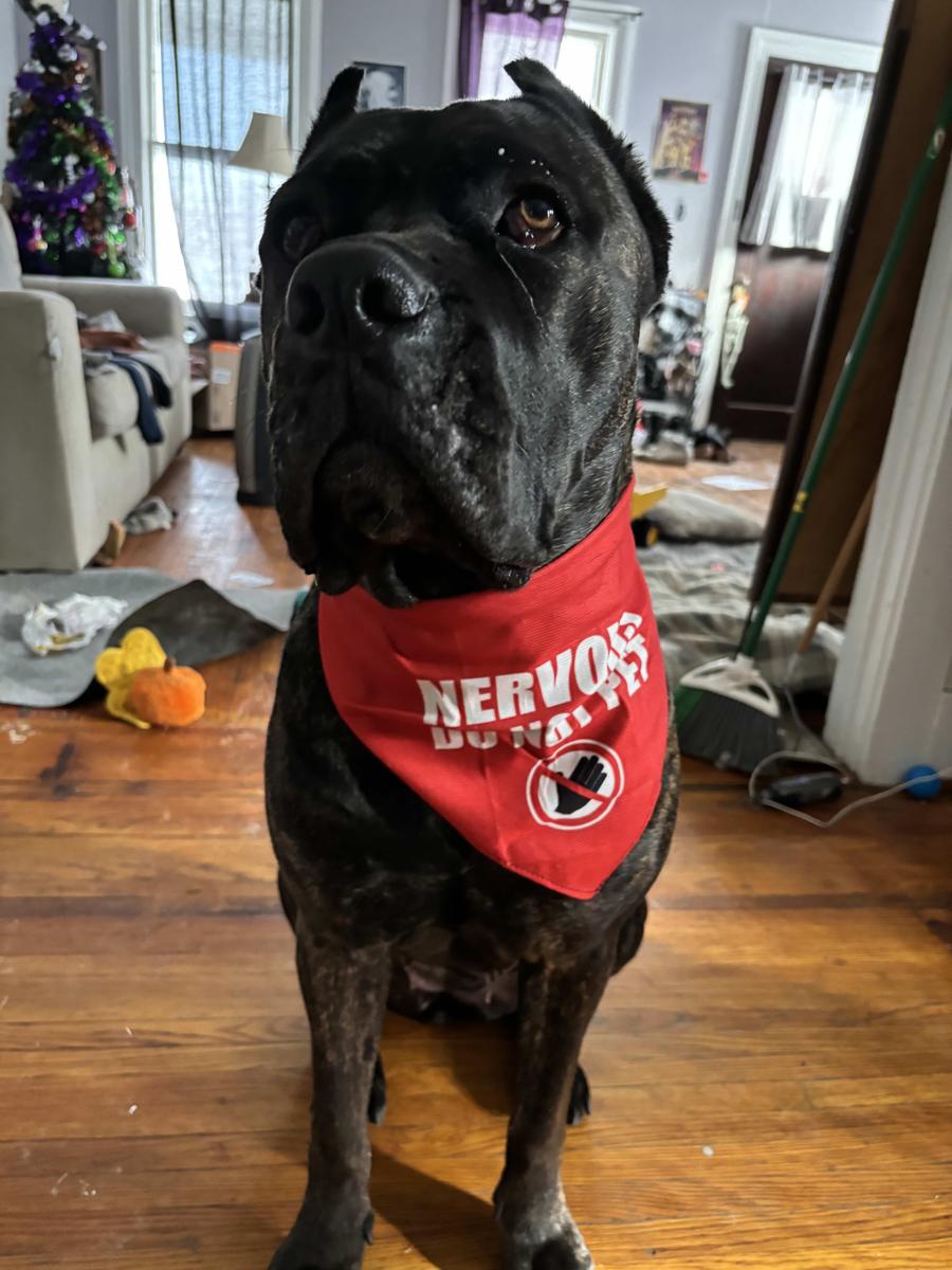 Item: 90 Chews, Chicken