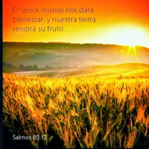 background preload poster image 