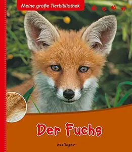 USED-Der Fuchs by Christian Havard (Hardcover)
