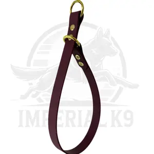 Water Proof Slip Collar | Made with Biothane puppy essential puppy training puppy collar