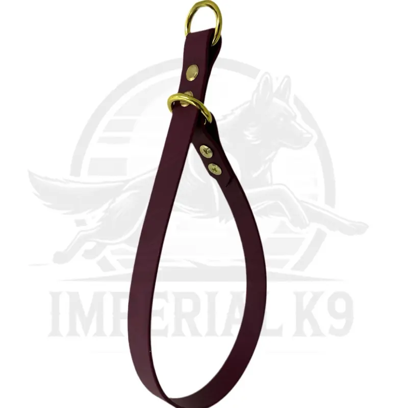 Water Proof Slip Collar | Made with Biothane puppy essential puppy training puppy collar