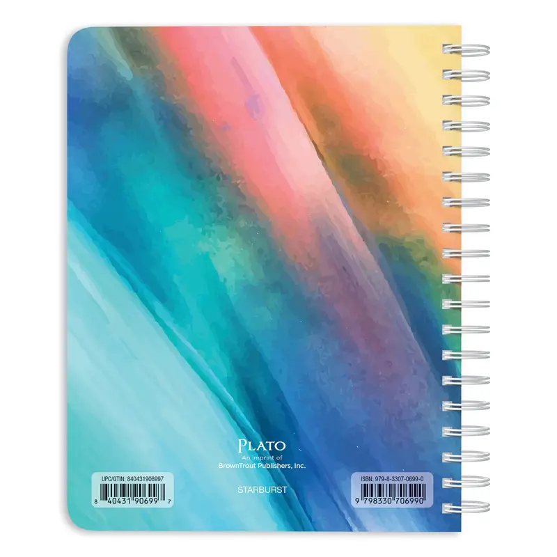 Starburst | 2026 6 x 7.75 Inch 18 Months Weekly Desk Planner | Foil Stamped Cover | July 2025 - December 2026 | Plato | Planning Stationery 1