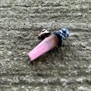 Sweetchibababy Handmade Pink Roach Pin with Butterfly Clasp Unique Design Accessory