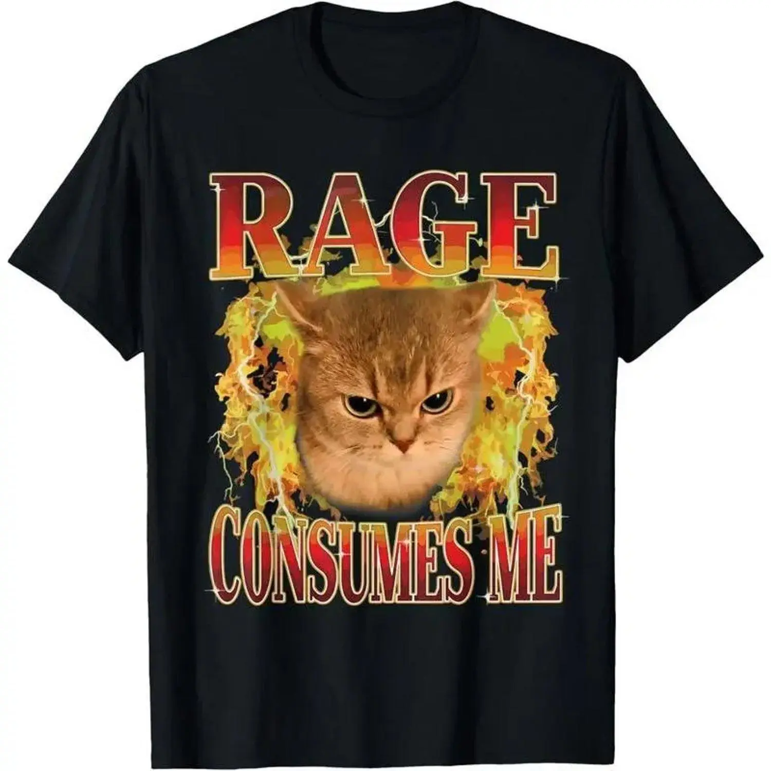 Women's Crew Neck Short-Sleeve Breathable Fabric T-Shirt, Angry Cat "Rage Is Consuming Me" Graphic Streetwear Apparel, Meme Shirts Funny