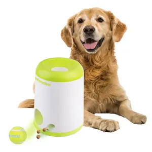 All For Paws Interactive Fetch-N-Treat Dog Toy