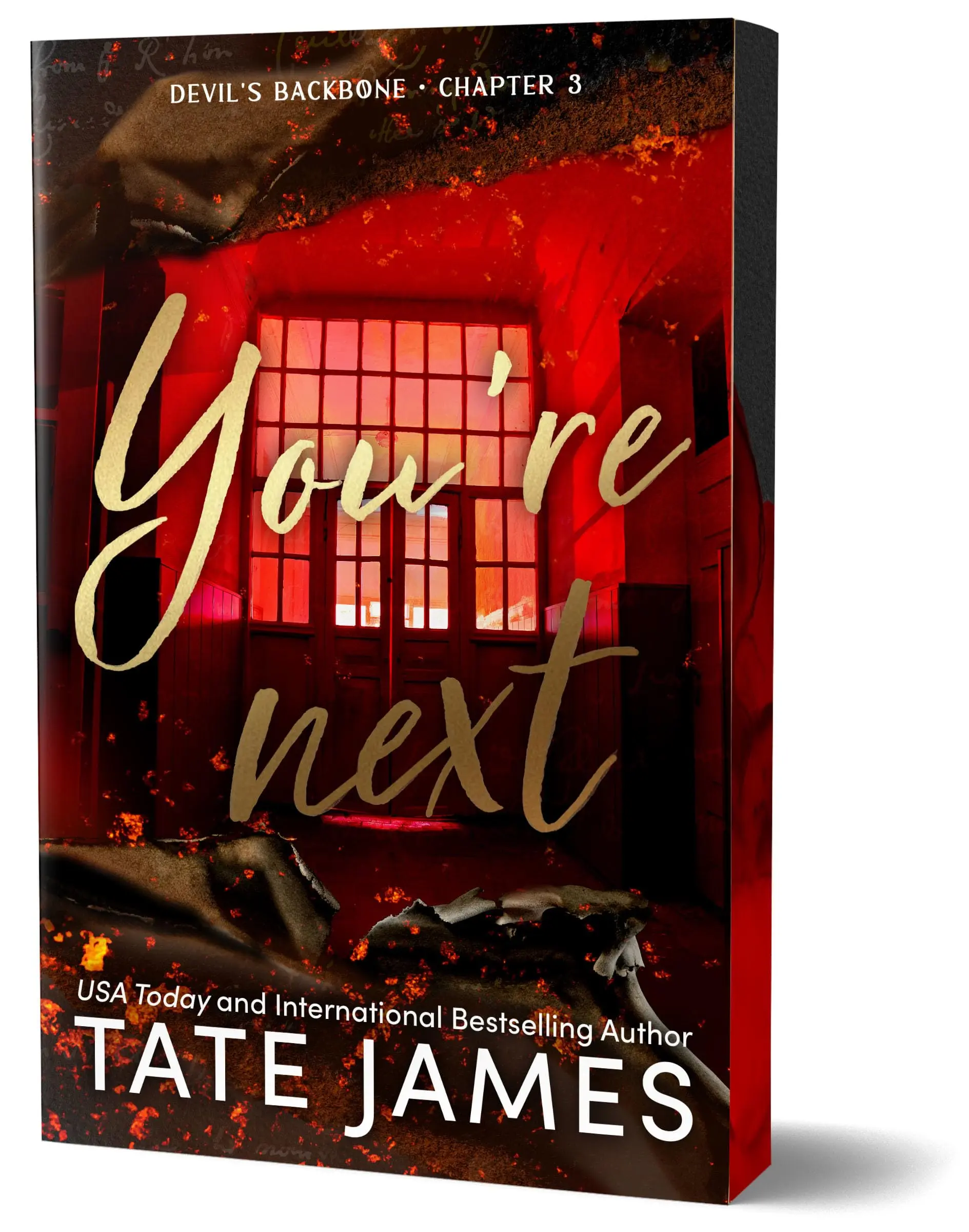 You're Next (Deluxe Edition) -- Tate James - Paperback