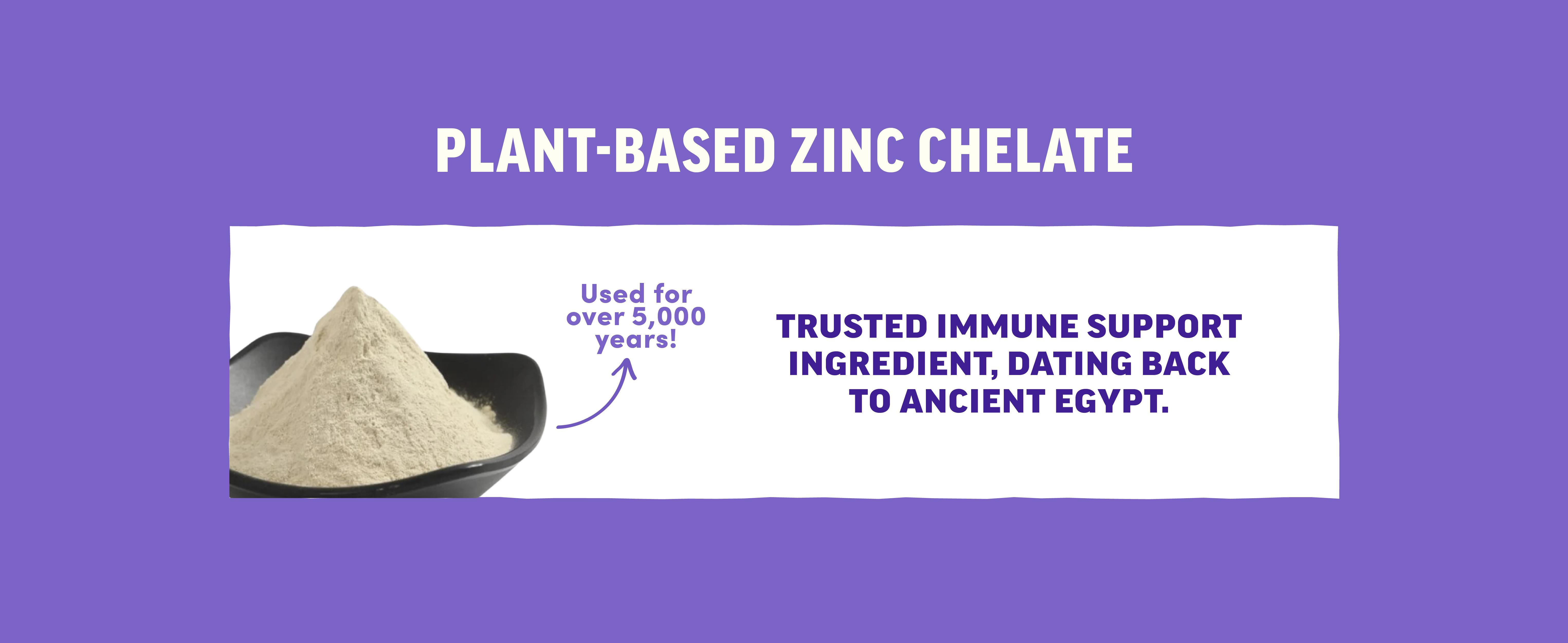 Llama Naturals Kids Elderberry Immunity Gummies - 35x Potent Organic Extract with Zinc & Vitamin C - Vegan, 60 Gummies for 30-Day Immune Support - Dentist Approved, Real Fruit Flavor