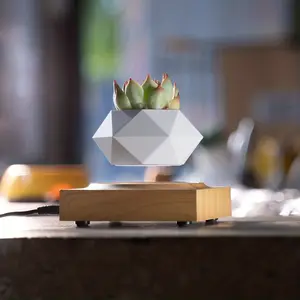 Levitating Floating Plant Pot, Magnetic Levitating Planter, Creative 360 Automatic Rotation Flower Pot for Home Office Decoration
