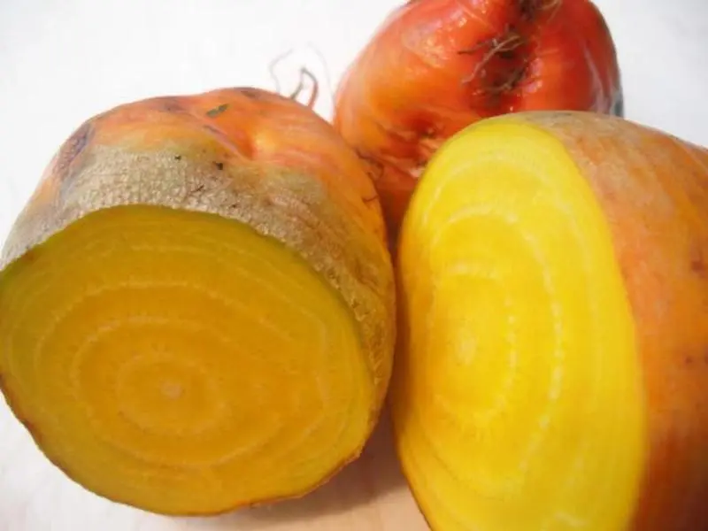 Golden Detroit Beet - 50+ seeds Golden Detroit Beet - 50+ seeds